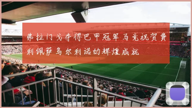 弗拉门戈夺得巴甲冠军马竞祝贺费利佩萨乌尔利诺的辉煌成就