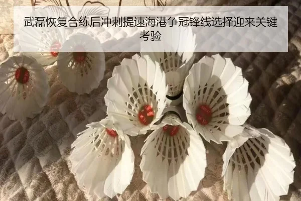 武磊恢复合练后冲刺提速海港争冠锋线选择迎来关键考验